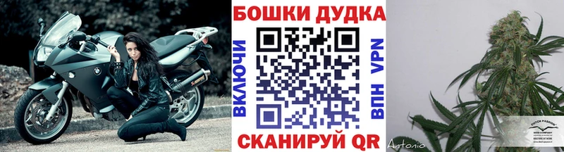 Каннабис Amnesia  Купить где  Можга 
